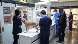 강서YD동물의료센터