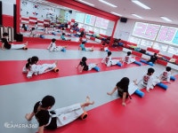 경희대 비트짐 태권도