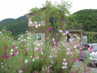 다애복지재단/다사랑