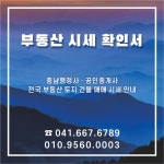 중앙로옥션공인중개사사무소