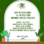 위스터디카페