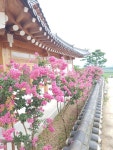 문경한옥펜션
