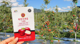 파로호 사과농원