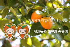 정감농원