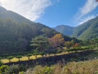 맑은산장농원