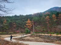 맑은산장농원