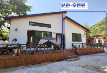 로뎀나무
