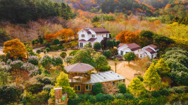숲속애 독채펜션
