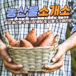 농산물소개소