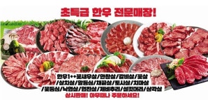 다온가온