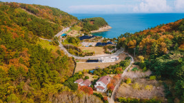 숲속애 독채펜션