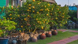 디오름 스파 펜션