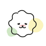 애견셀프목욕 다다펫스파