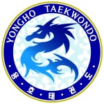 고려용호태권도 주안점