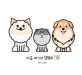 지금여기서행복하개