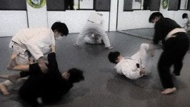 팀훅 복싱 & 주짓수