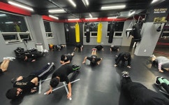 팀 제네시스 복싱 스튜디오