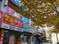 햇살공인중개사사무소
