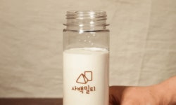 사백밀티