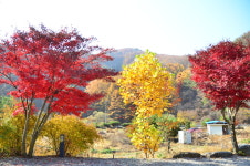 행복한나드리캠핑장