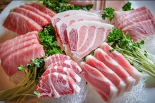 대가참치