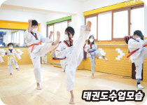 한양태권도격투기체육관 3관 번2동점