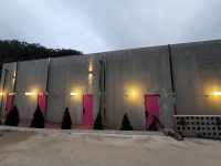 디엠제트