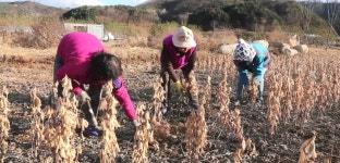 구만리콩마을영농조합법인