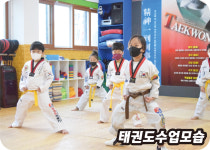 한양태권도격투기체육관 3관 번2동점