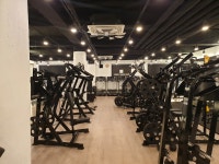 팀타이거짐 매탄12호점