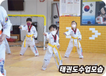 한양태권도격투기체육관 3관 번2동점