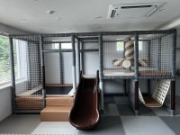 오아세 키즈풀빌라