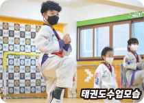 한양태권도격투기체육관 3관 번2동점