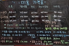 꼬마애견