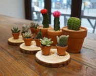 유카 플라워&가든