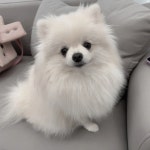 살롱드소이(salon de soi) | 살롱드소이