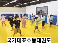 국가대표호동태권도