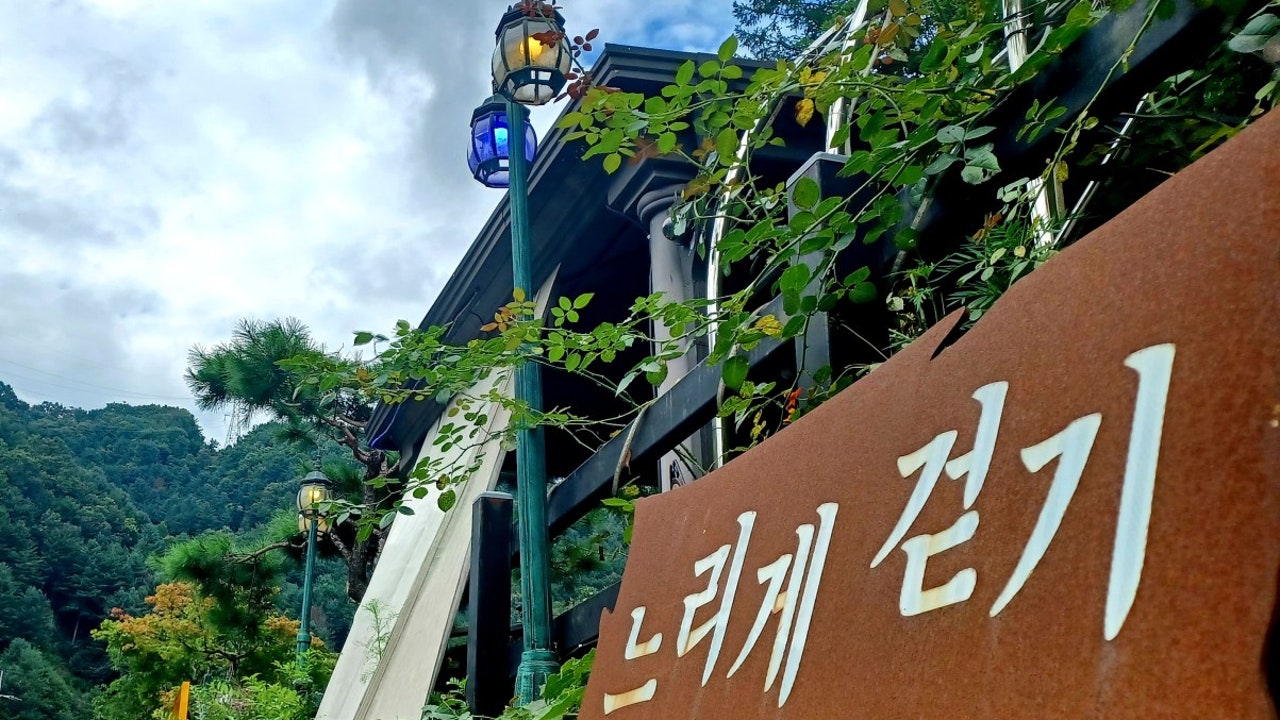 느리게걷기 카페