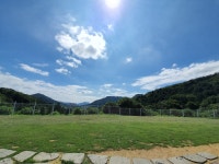 퍼펙트독 반려견교육센터 동물에이전시