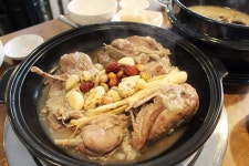 늘오리