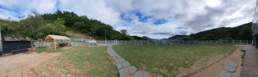 퍼펙트독 반려견교육센터 동물에이전시