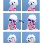 3PIC 충대중문점