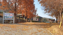청풍호반 오토캠핑장