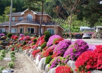 소금강시즌펜션