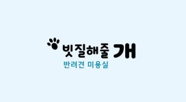 빗질해줄개