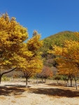청기와집식당민박