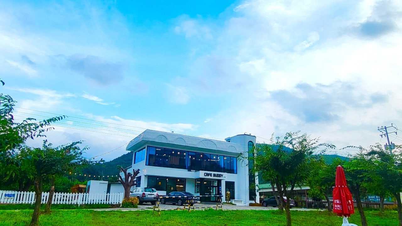 카페버디