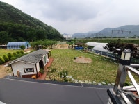 디어마이펫