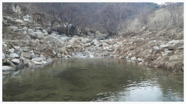 싸리목캠핑장