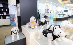 해운대동물메디컬센터